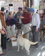 Policemen check the luggage of passengers at Bus stand in Amritsar. (HT File) Policemen check the luggage of passengers at Bus stand in Amritsar. (HT File)