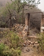 Rampant poaching, illegal tree felling are destroying habitats in forests of Gurugram. (HT PHOTO) Rampant poaching, illegal tree felling are destroying habitats in forests of Gurugram. (HT PHOTO)