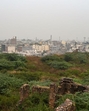 The southern ridge in Delhi. (HT Archive) The southern ridge in Delhi. (HT Archive)