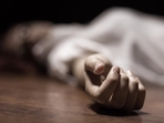 The incident occurred at around 3 PM on April 27 near the Bhatra Kallurti temple.(Shutterstock) The incident occurred at around 3 PM on April 27 near the Bhatra Kallurti temple.(Shutterstock)