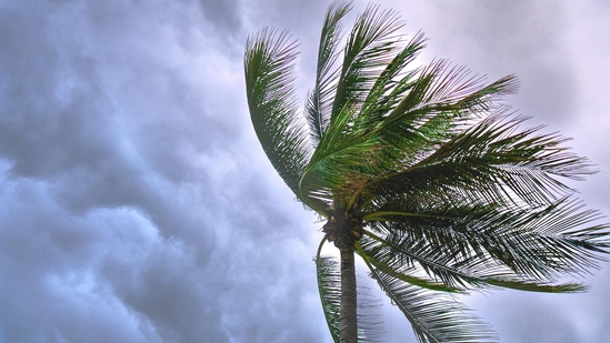 (Representational Image) Southern Ontario braces for summer-like temperatures and severe thunderstorms as a Colorado low moves in, with risks of hail, strong winds, and isolated tornadoes.(Pexel) (Representational Image) Southern Ontario braces for summer-like temperatures and severe thunderstorms as a Colorado low moves in, with risks of hail, strong winds, and isolated tornadoes.(Pexel)