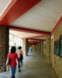 Campus of TISS Deonar, Mumbai Pic: Kedar Bhat Campus of TISS Deonar, Mumbai Pic: Kedar Bhat