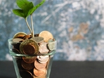 Read daily money and career horoscopes for all zodiac signs and know your fortune for today at Hindustan Times.(Unplash) Read daily money and career horoscopes for all zodiac signs and know your fortune for today at Hindustan Times.(Unplash)