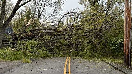 A Pittsburgh resident shared photos of the storm damage, writing, ‘It was wild’(@SharkySalty/ X)