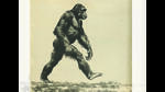 Humans have walked for millions of years. Do we really need tips on how to do it right? (ADOBE STOCK) Humans have walked for millions of years. Do we really need tips on how to do it right? (ADOBE STOCK)