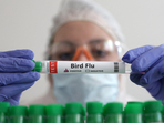 H5N1 scare increasing again in 2025? H5N1 scare increasing again in 2025?