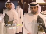A man in a viral video stuns viewers at Abu Dhabi airport, revealing his falcon’s passport.(Instagram/uaefalcons_) A man in a viral video stuns viewers at Abu Dhabi airport, revealing his falcon’s passport.(Instagram/uaefalcons_)
