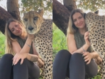 A viral video showed a woman cuddling and kissing a calm cheetah.(Instagram/lisatorajaqueline) A viral video showed a woman cuddling and kissing a calm cheetah.(Instagram/lisatorajaqueline)