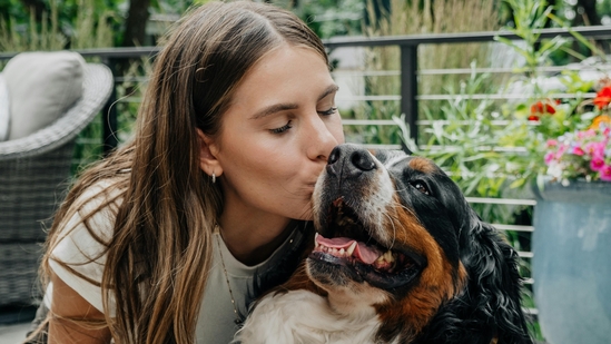 People prefer their fur babies more than their other social relationships. People prefer their fur babies more than their other social relationships.