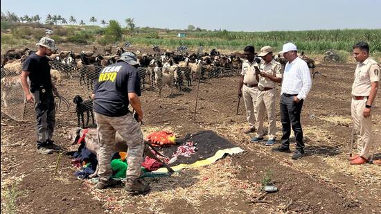 Efforts continue for over 40 hours to verify the alleged involvement of leopard in the death of infant in Daund; leopard continues to evade capture five days into the launch of search operations on the premises of Pune airport (HT FILE) Efforts continue for over 40 hours to verify the alleged involvement of leopard in the death of infant in Daund; leopard continues to evade capture five days into the launch of search operations on the premises of Pune airport (HT FILE)