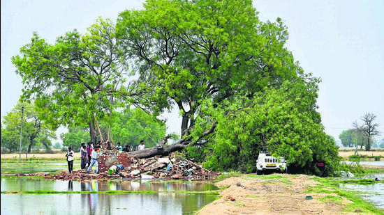 The collapsed house under an uprooted Neem tree at Kharkhari Nahar Village in Najafgarh on Friday morning. (Vipin Kumar/HT photo) The collapsed house under an uprooted Neem tree at Kharkhari Nahar Village in Najafgarh on Friday morning. (Vipin Kumar/HT photo)