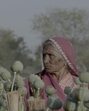 A still from the feature documentary, “I, Poppy”, directed by Vivek Chaudhary, which won the top award at Hot Docs (Courtesy Hot Docs) A still from the feature documentary, “I, Poppy”, directed by Vivek Chaudhary, which won the top award at Hot Docs (Courtesy Hot Docs)