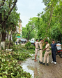 Gurugram police personnel removing uprooted trees at Palam Vihar Road after heavy rains lashed the city on Friday. (HT PHOTO) Gurugram police personnel removing uprooted trees at Palam Vihar Road after heavy rains lashed the city on Friday. (HT PHOTO)
