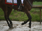 Rain is anticipated for the 2025 Kentucky Derby on Saturday. (AP Photo/Jon Cherry)(AP) Rain is anticipated for the 2025 Kentucky Derby on Saturday. (AP Photo/Jon Cherry)(AP)