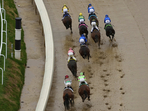 In the 2025 Kentucky Derby, Sandman and Baeza are the priciest at $1.2 million, contrasting sharply with Chunk of Gold, purchased for just $2,500 among others. (AP Photo/Charlie Riedel)(AP) In the 2025 Kentucky Derby, Sandman and Baeza are the priciest at $1.2 million, contrasting sharply with Chunk of Gold, purchased for just $2,500 among others. (AP Photo/Charlie Riedel)(AP)