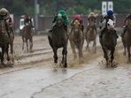 Kentucky Derby 2025 will take place on Saturday(Getty Images via AFP) Kentucky Derby 2025 will take place on Saturday(Getty Images via AFP)