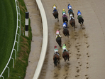 Kentucky Derby undercard events featured dozens of horses(AP) Kentucky Derby undercard events featured dozens of horses(AP)