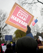 Much like the administration’s tariff policies, the crackdown on F-1 visa holders could have long-term negative consequences (REUTERS) Much like the administration’s tariff policies, the crackdown on F-1 visa holders could have long-term negative consequences (REUTERS)