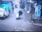 A viral video showed a stray bull in Rishikesh taking a scooter for a spin.(X/@gharkekalesh) A viral video showed a stray bull in Rishikesh taking a scooter for a spin.(X/@gharkekalesh)