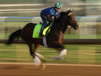 Sovereignty won Kentucky Derby 2025 on Saturday(Getty Images via AFP) Sovereignty won Kentucky Derby 2025 on Saturday(Getty Images via AFP)