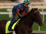 Sovereignty won the Kentucky Derby 2025(Getty Images via AFP) Sovereignty won the Kentucky Derby 2025(Getty Images via AFP)