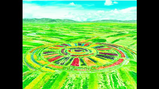 The raised fields and irrigation canals of the Waru Waru agricultural system in Peru. (World Monuments Fund) The raised fields and irrigation canals of the Waru Waru agricultural system in Peru. (World Monuments Fund)