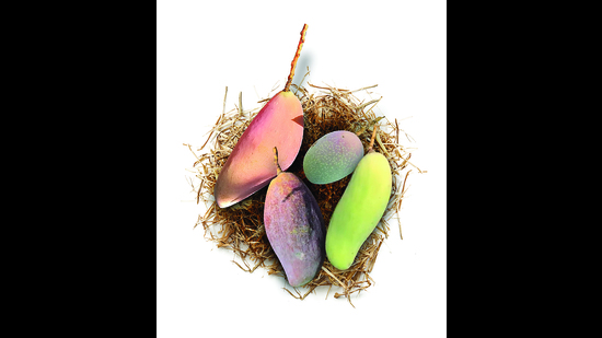 Samples of the red ivory, strawberry, banana and King of Chakapat mangoes grown on the Jariyas’ 12-acre farm. Samples of the red ivory, strawberry, banana and King of Chakapat mangoes grown on the Jariyas’ 12-acre farm.