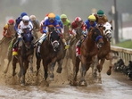 Citizen Bull #1, ridden by jockey Martin Garcia leads the field during the 151st running of the Kentucky Derby.(AFP) Citizen Bull #1, ridden by jockey Martin Garcia leads the field during the 151st running of the Kentucky Derby.(AFP)