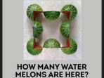 How many watermelons did you count in this viral optical illusion?(Facebook) How many watermelons did you count in this viral optical illusion?(Facebook)