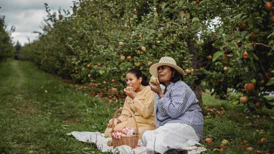 Trying to get pregnant with endometriosis? This diet could change everything.(Image by Pexels) Trying to get pregnant with endometriosis? This diet could change everything.(Image by Pexels)