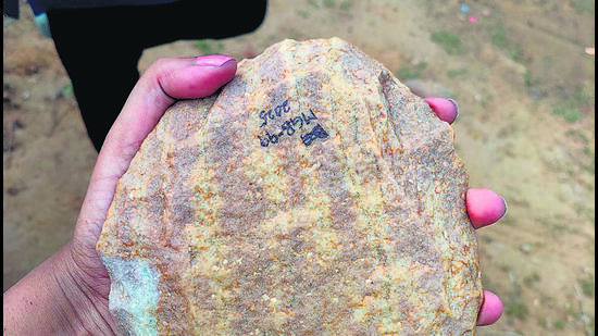 Archaeologists and researchers working at the Mangar section of the range have found a trove of prehistoric tools and rock paintings from the Lower Palaeolithic age (HT Photo) Archaeologists and researchers working at the Mangar section of the range have found a trove of prehistoric tools and rock paintings from the Lower Palaeolithic age (HT Photo)