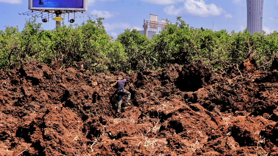 An Israeli police officer investigates a crater at the site of a missile attack, launched from Yemen, near Ben Gurion Airport, in Tel Aviv, Israel May 4, 2025.(REUTERS)