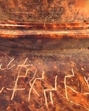 Classified as ‘AA’ antiquities under Indian law, the relics are prohibited from sale or export. (The Piprawha Project) Classified as ‘AA’ antiquities under Indian law, the relics are prohibited from sale or export. (The Piprawha Project)