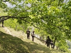 Security personnel keep vigil after a brief exchange of fire took place between terrorists and security forces in Lasana village of Surankote.(PTI FILE ) Security personnel keep vigil after a brief exchange of fire took place between terrorists and security forces in Lasana village of Surankote.(PTI FILE )