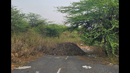 Illegal dumping sites in forest area of Mangar village near Mauji Dham Hanuman Mandir, in Gurugram as spotted by activists. (Parveen Kumar/HT Photo) Illegal dumping sites in forest area of Mangar village near Mauji Dham Hanuman Mandir, in Gurugram as spotted by activists. (Parveen Kumar/HT Photo)