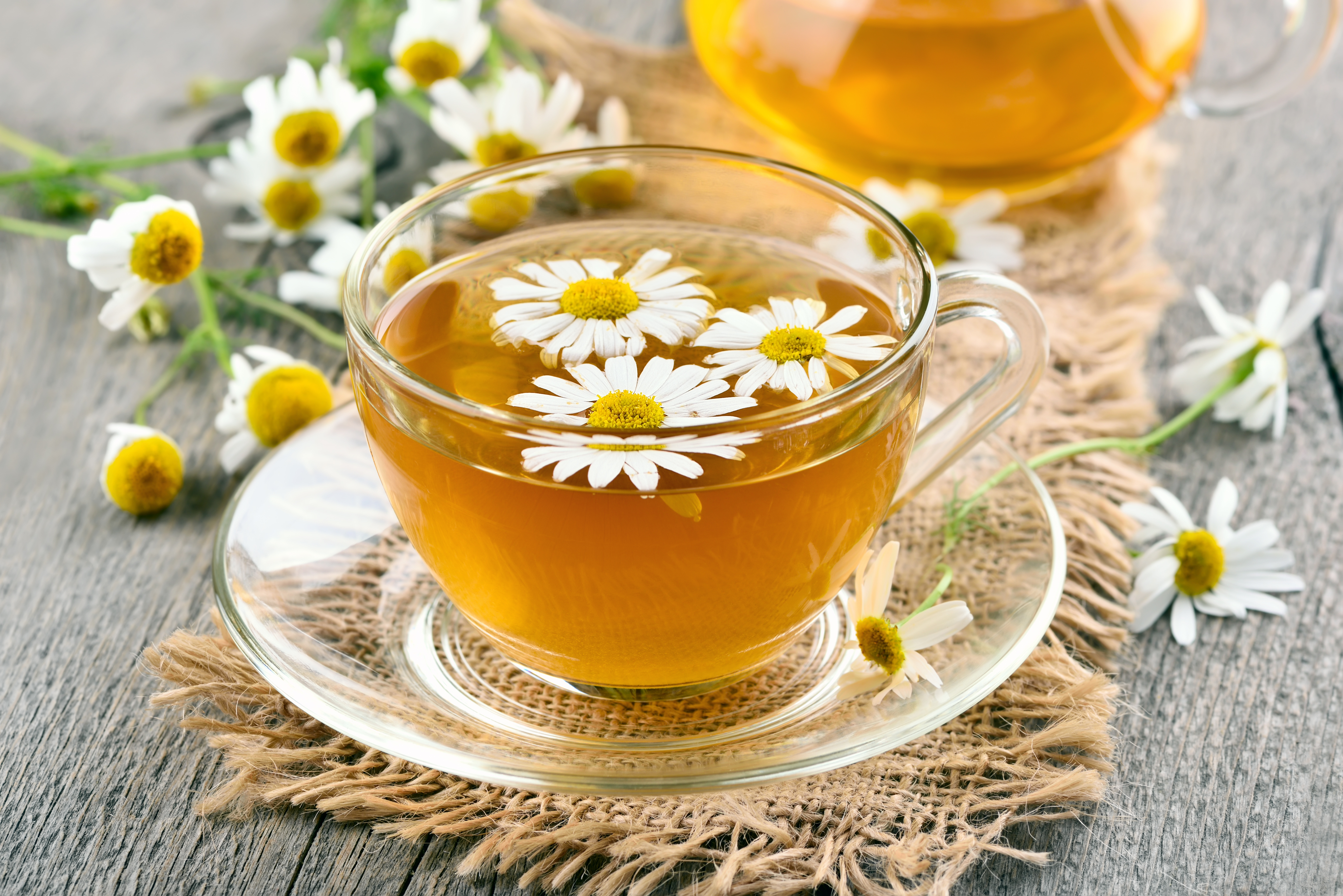 Chamomile tea(Adobe Stock) Chamomile tea(Adobe Stock)